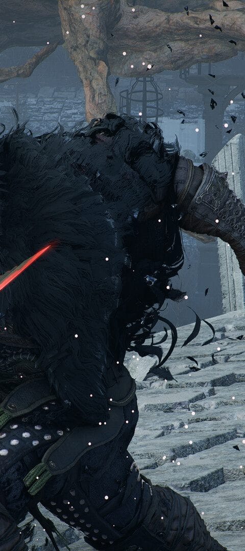 Banner art of a Greymanes warrior dueling a Black Bears fighter in the snow.
